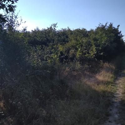 Img 20220728 181139 1