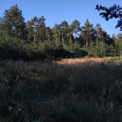 Img 20220728 181500 1